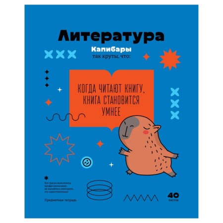 Тетрадь предметная 40л. BG Записки школьника - Литература, эконом