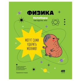 Тетрадь предметная 40л. BG Записки школьника - Физика, эконом