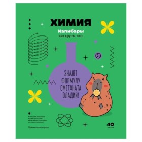 Тетрадь предметная 40л. BG Записки школьника - Химия, эконом