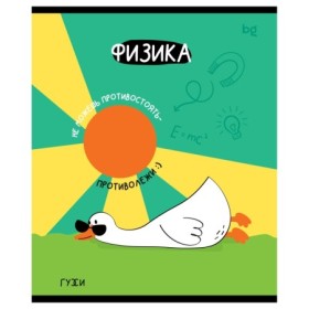 Тетрадь предметная 40л. BG ГуССи - Физика, эконом