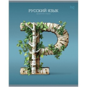 Тетрадь предметная 48л. BG Заглавные-главные - Русский язык, эконом