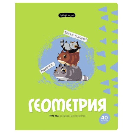 Тетрадь предметная 40л. BG Правда жизни - Геометрия