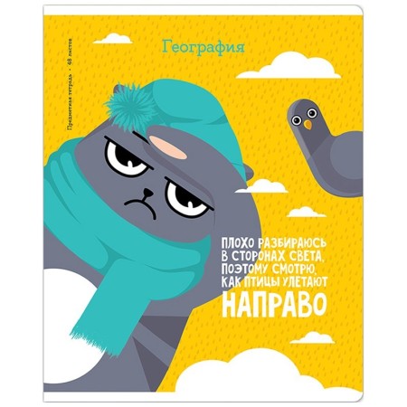 Тетрадь предметная 48л. ArtSpace Котоцинизм - География, ТВИН-лак