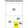Тетрадь предметная 48л. ArtSpace Котоцинизм - География, ТВИН-лак