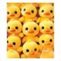 Тетрадь 48л., А5, клетка BG Plush, суперэконом
