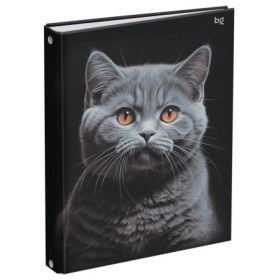 Тетрадь на кольцах А5, 160л., BG Кот, глянцевая ламинация