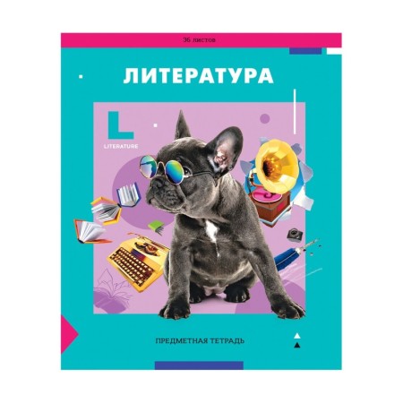 Тетрадь предметная 36л. ArtSpace Пять в квадрате - Литература, эконом