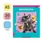 Тетрадь предметная 36л. ArtSpace Пять в квадрате - Литература, эконом