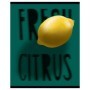 Тетрадь 48л., А5, клетка BG Exotic fruit, матовая ламинация, выб. лак, конгрев, с форзацем, 70г/м2