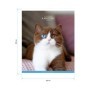 Тетрадь 48л., А5, клетка ArtSpace Питомцы. Animals, суперэконом