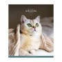Тетрадь 48л., А5, клетка ArtSpace Питомцы. Animals, суперэконом