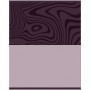 Тетрадь предметная 48л. BG Single colour - Информатика, эконом