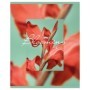 Тетрадь 48л., А5, клетка BG Blooming, матовая ламинация