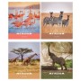Тетрадь 96л., А5, клетка ArtSpace Животные. Nature of Africa, суперэконом