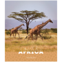 Тетрадь 96л., А5, клетка ArtSpace Животные. Nature of Africa, суперэконом
