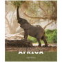 Тетрадь 96л., А5, клетка ArtSpace Животные. Nature of Africa, суперэконом