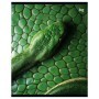 Тетрадь 48л., А5, клетка BG Snake, выб.лак