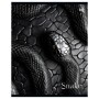 Тетрадь 48л., А5, клетка BG Snake, выб.лак