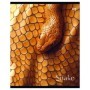 Тетрадь 48л., А5, клетка BG Snake, выб.лак