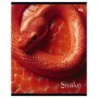 Тетрадь 48л., А5, клетка BG Snake, выб.лак