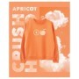 Тетрадь 48л., А5, клетка BG Apricot, матовая ламинация