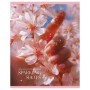 Тетрадь 48л., А5, клетка BG Sparkle, суперэконом
