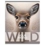 Тетрадь 48л., А5, клетка BG Wild, суперэконом