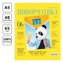 Тетрадь предметная 48л. BG Скандальности - Информатика, глянцевая ламинация