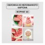 Тетрадь 48л., А5, клетка BG Summer dessert, матовая ламинация