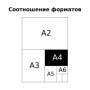 Тетрадь 80л., А4, клетка BG Wonder, тиснение голографической фольгой
