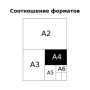 Тетрадь 48л., А4, клетка BG Fluffy, матовая ламинация