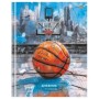 Дневник 1-11 кл. 40л. (твердый) BG "Basketball sketch", матовая ламинация