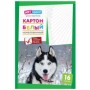 Картон белый А4, ArtSpace, 16л., немелованный, в папке