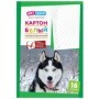 Картон белый А4, ArtSpace, 16л., немелованный, в папке