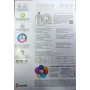 Бумага офисная IQ Premium  A4, класс A+,  100 г/м², 500 л, белый