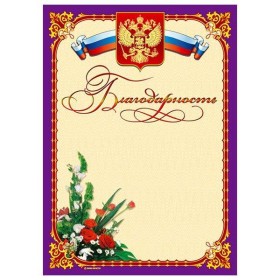 Благодарность Знак почета ГОСУДАРСТВЕННАЯ СИМВОЛИКА, БУКЕТ А4, фиолетовая, тиснение фольгой и конгрев