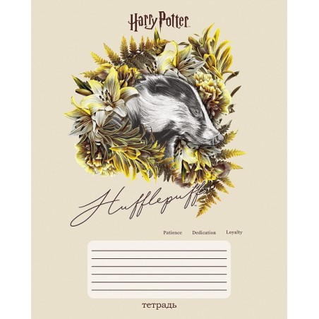 Тетрадь Hatber "Гарри Поттер" А5, 24 листа,  клетка, обложка картон, на скобе, 5 диз.в блоке, 10 шт. в упаковке