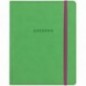 Дневник 1-11 кл. 48л. (твердый) BG "Яркий акцент(фисташковый)", иск. кожа, термотиснение, ляссе, резинка