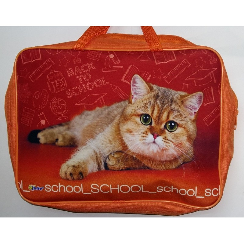 Папка менеджера А4. ПМД 4-20  School cat