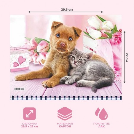 Календарь квартальный, настенный, трехблочный на 2024 год, "Кошка и собака", 29.5х73 см