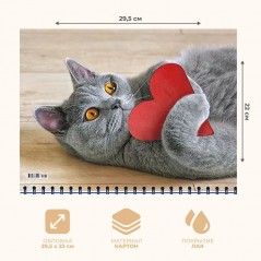 Календарь квартальный, настенный, трехблочный на 2024 год, "Кот с сердечком", 29.5х73 см