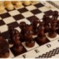 Набор игр ТРИ СОВЫ 3в1 "Нарды, шашки, шахматы", обиходные, с деревянной доской 40*40, поле 29*29