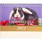 Календарь настольный, домик "Символ Года 2 - Кролик" 2023 год
