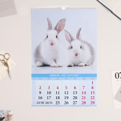 Календарь перекидной на ригеле "Символ года 1 - Кролик" 2023 год, 32х48см