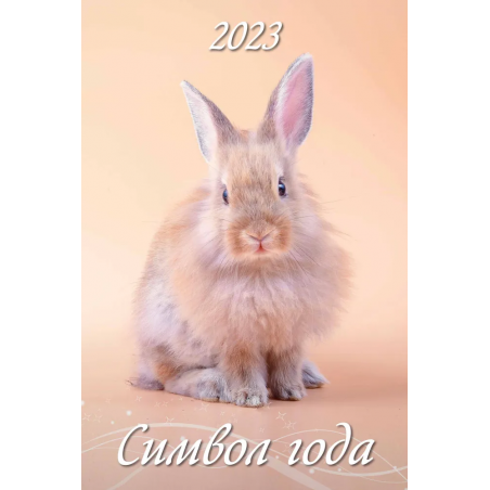 Календарь перекидной на ригеле "Символ года 3 - Кролик" 2023 год, 32х48см