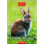 Календарь на пружине "Символ года 1" 2023 год, 17х25 см