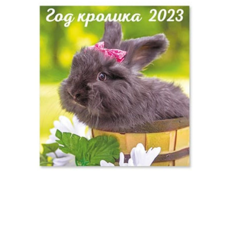 Календарь настенный перекидной на скрепке 2023 год. Символ года 3 - Кролик 24х22см